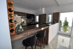 Kıbrıs Gazimagusa tuzla villa projesi (12)