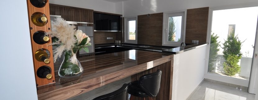 Kıbrıs Gazimagusa tuzla villa projesi (12)