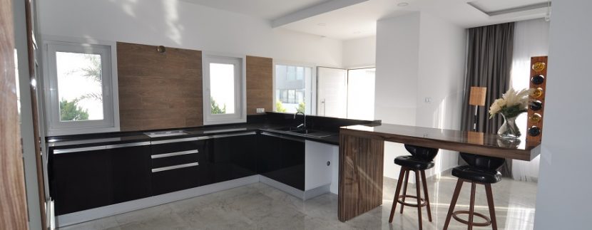 Kıbrıs Gazimagusa tuzla villa projesi (14)