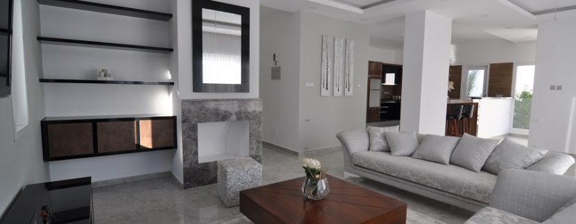 Kıbrıs Gazimagusa tuzla villa projesi (19)