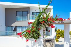 Kıbrıs Gazimagusa tuzla villa projesi (2)