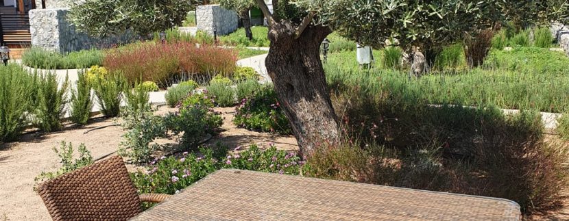 Dogankoy Kıbrıs Girne ornek daire site içi (1)