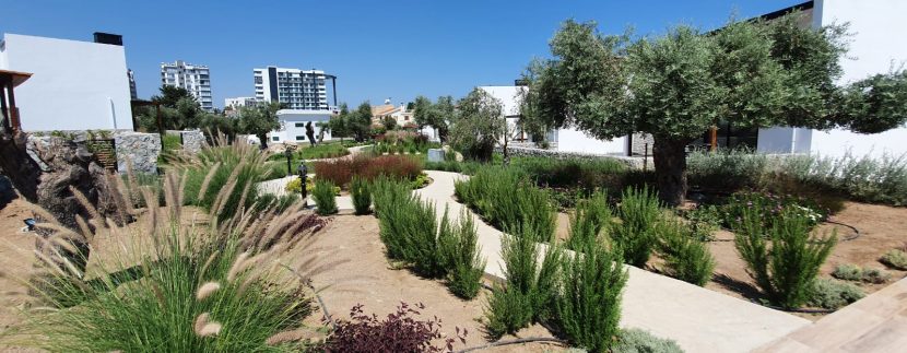 Dogankoy Kıbrıs Girne ornek daire site içi (3)