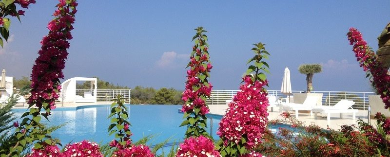 6. PV garden