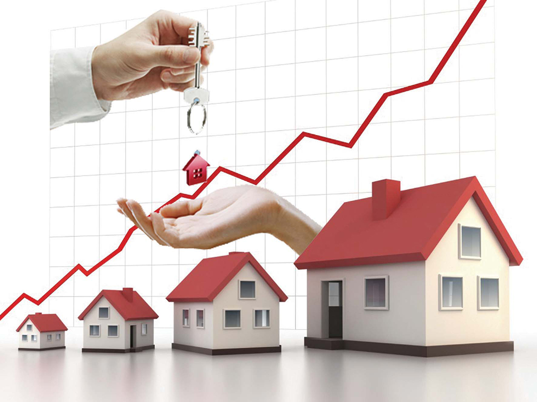 Real Estate Investment