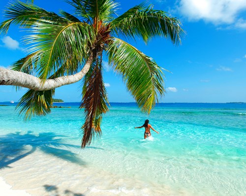 Discover Trinidad and Tobago’s Best Beaches