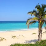 Luxury Living: Why Renting a Villa in Barbados is the Perfect Escape