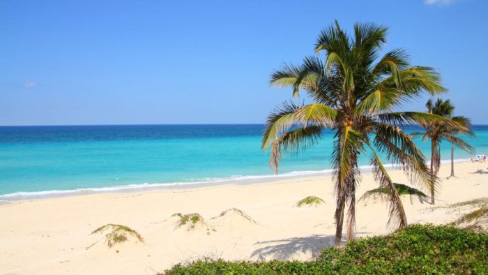 Luxury Living: Why Renting a Villa in Barbados is the Perfect Escape