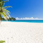 The Best Time to Visit Barbados: A Seasonal Guide