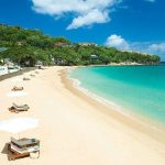 Top Things to Do in St. Lucia: A Caribbean Adventure Awaits