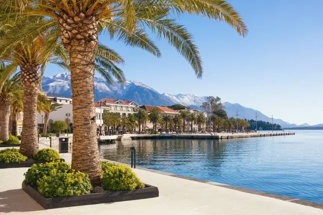 What to Eat in Tivat, Montenegro: A Culinary Journey Along the Adriatic