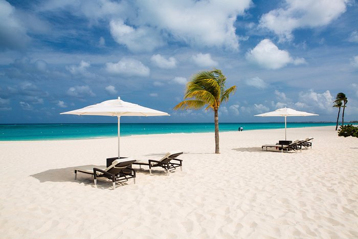 Discover Aruba’s Best Beaches