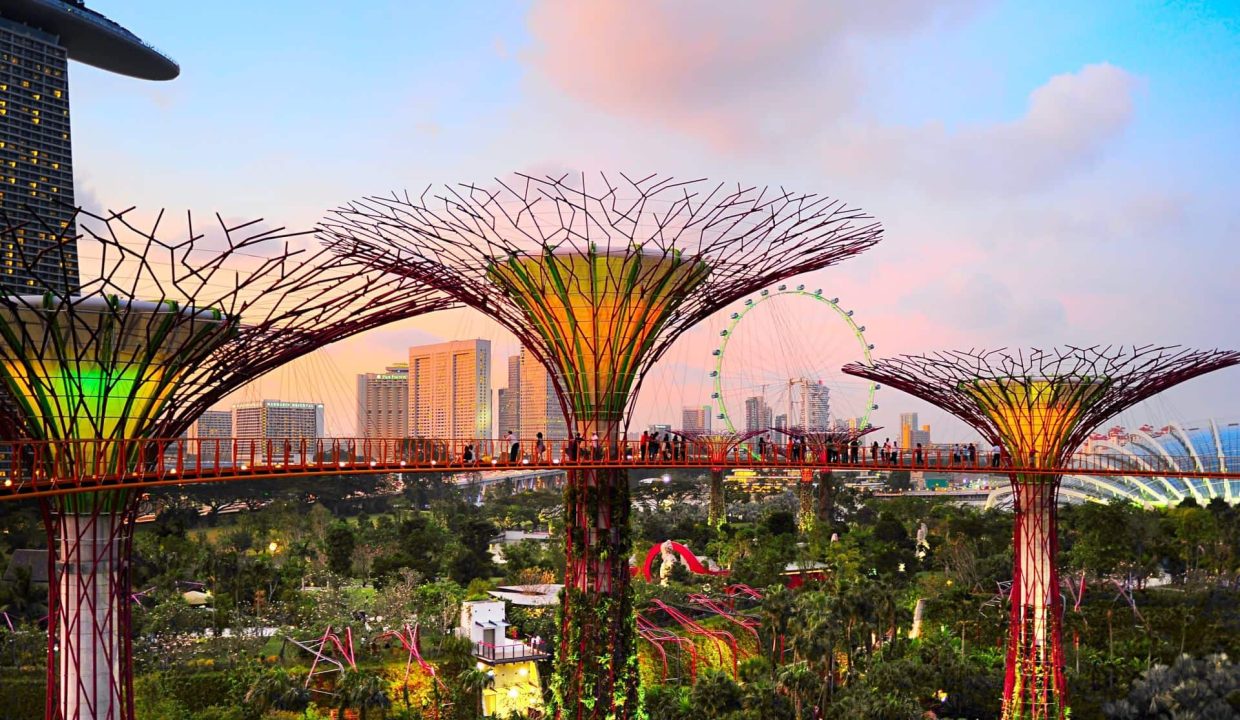 Top Things to Do in Singapore: A Must-See Guide for Every Traveler