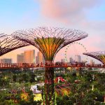 Top Things to Do in Singapore: A Must-See Guide for Every Traveler